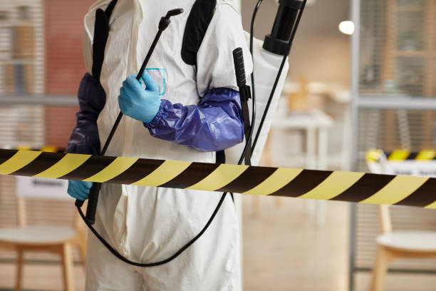 Professional Sewage Cleanup technician working in Los Angeles, CA