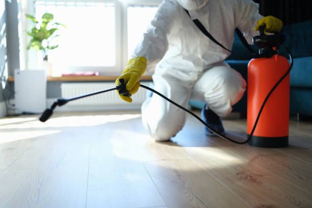 Reliable Sewage Cleanup contractor in Los Angeles, CA by Dulley Family Biohazard Services